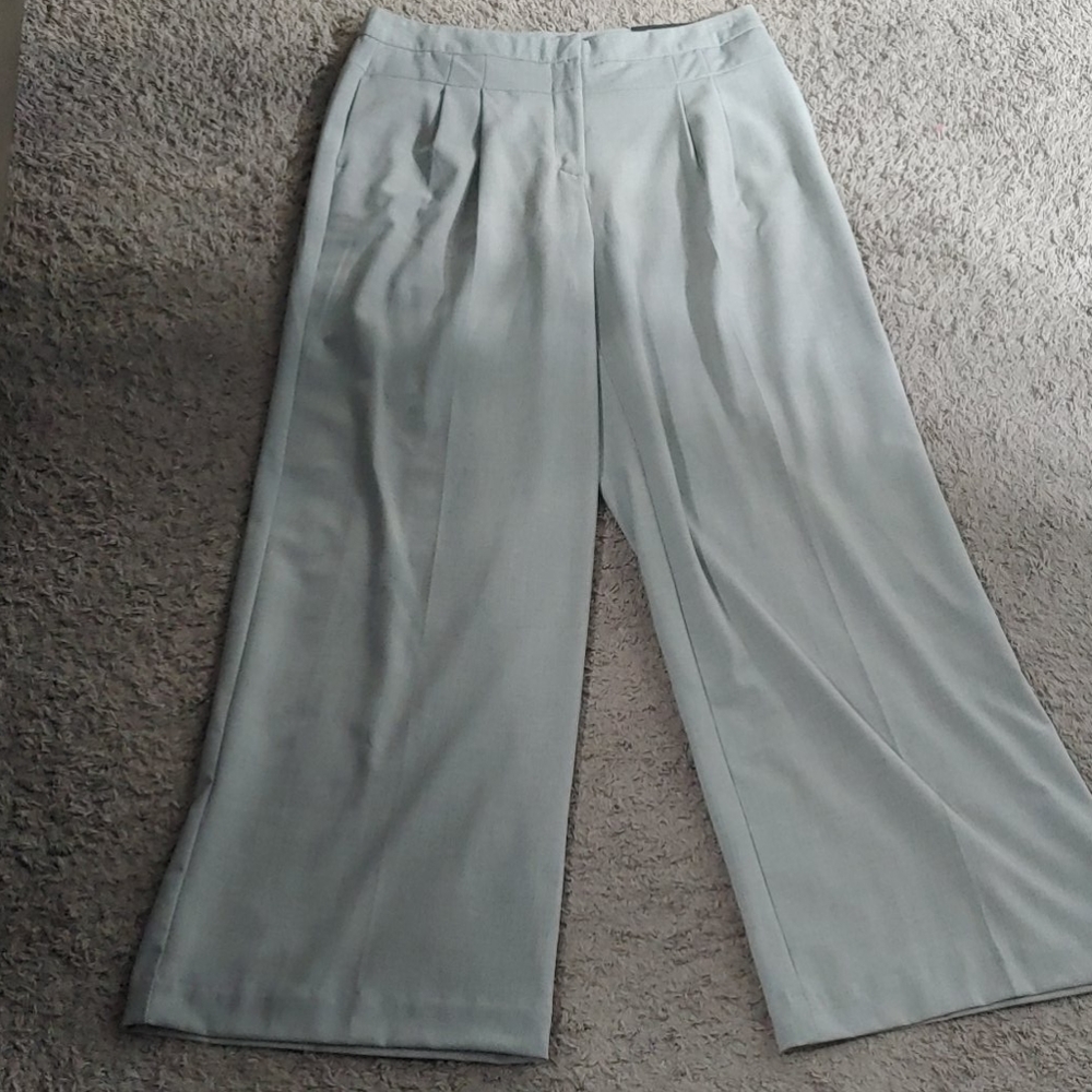 Size 14 Worthington pants